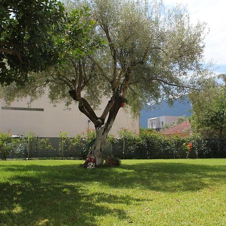Holiday Lefkas Sunrise Luxury Appartments Nikiána Kültér fotó
